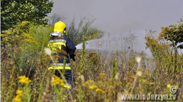 Pożar trawy przy Gruntowej