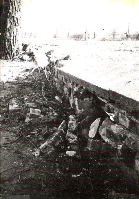 Zdjęcie 41