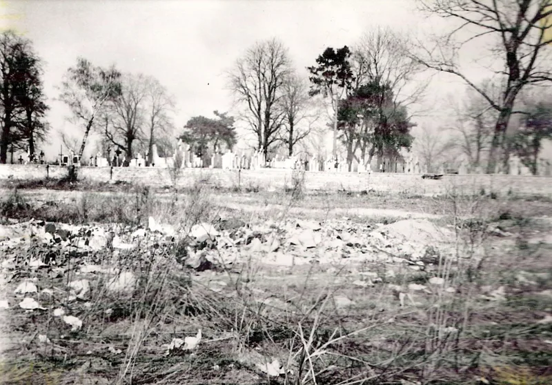 Zdjęcie 44
