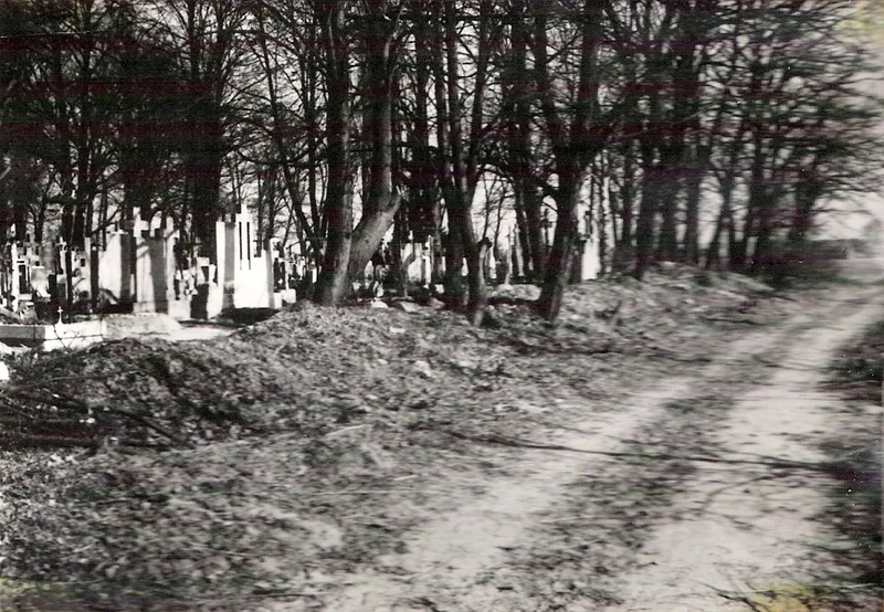 Zdjęcie 45