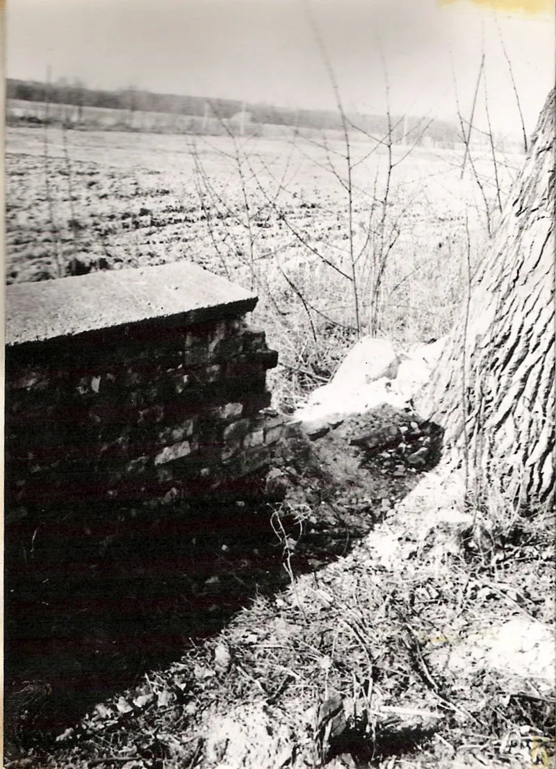 Zdjęcie 46