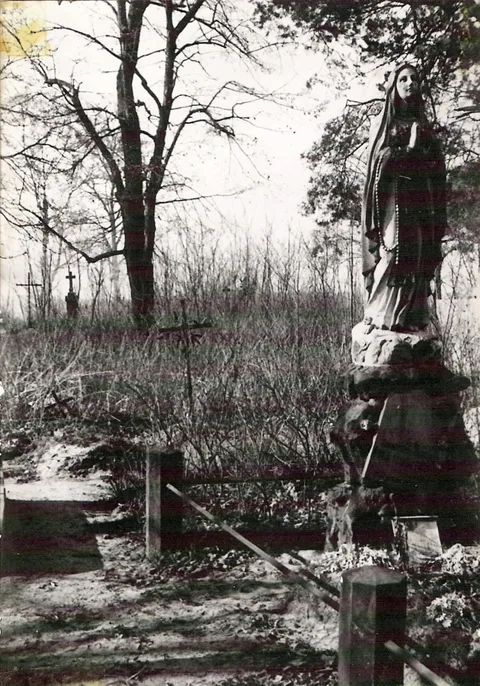 Zdjęcie 47