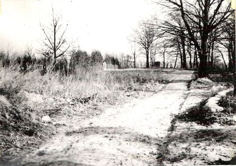 Zdjęcie 50
