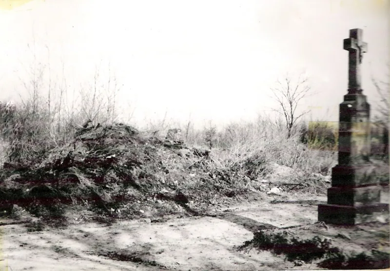 Zdjęcie 51