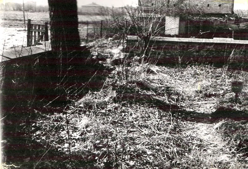 Zdjęcie 54
