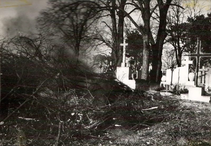 Zdjęcie 57