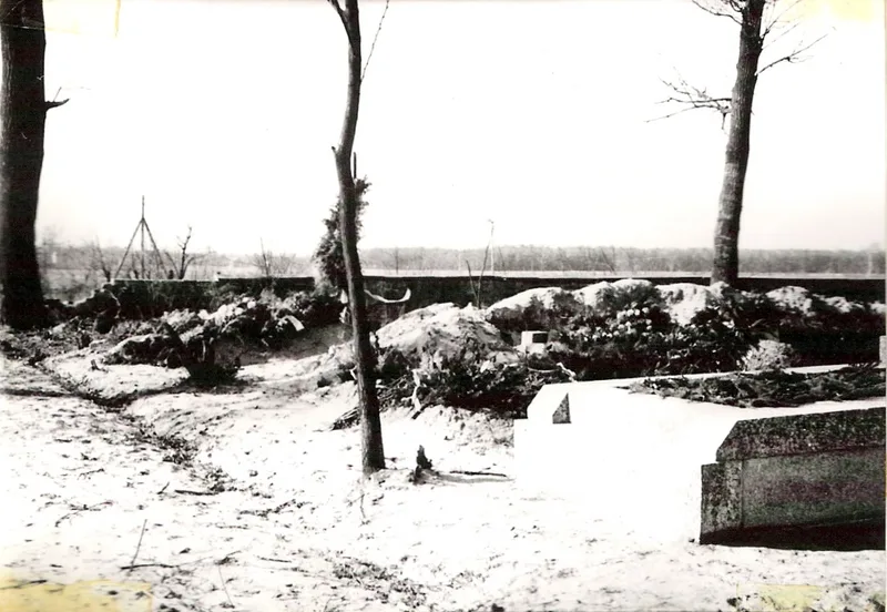 Zdjęcie 58