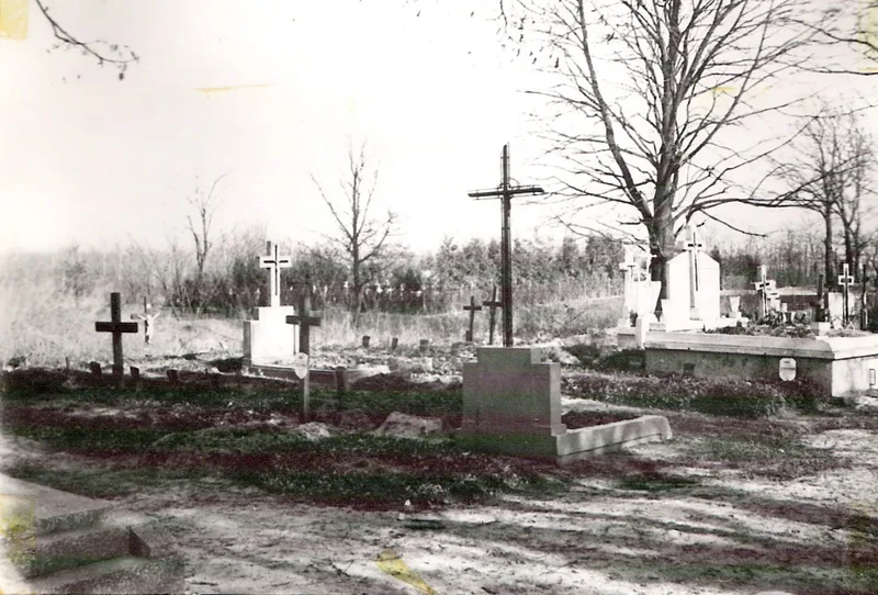 Zdjęcie 60