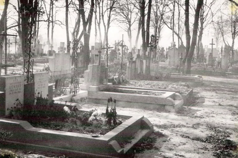 Zdjęcie 61