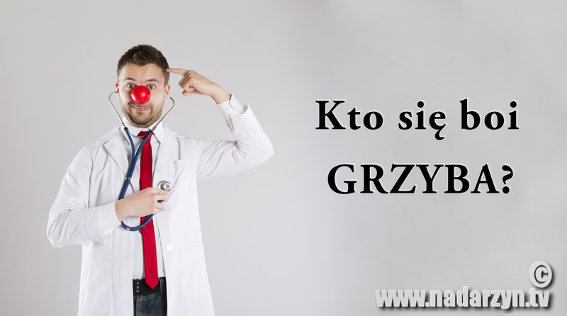 Kto się boi GRZYBA - odpowiedź lekarzy