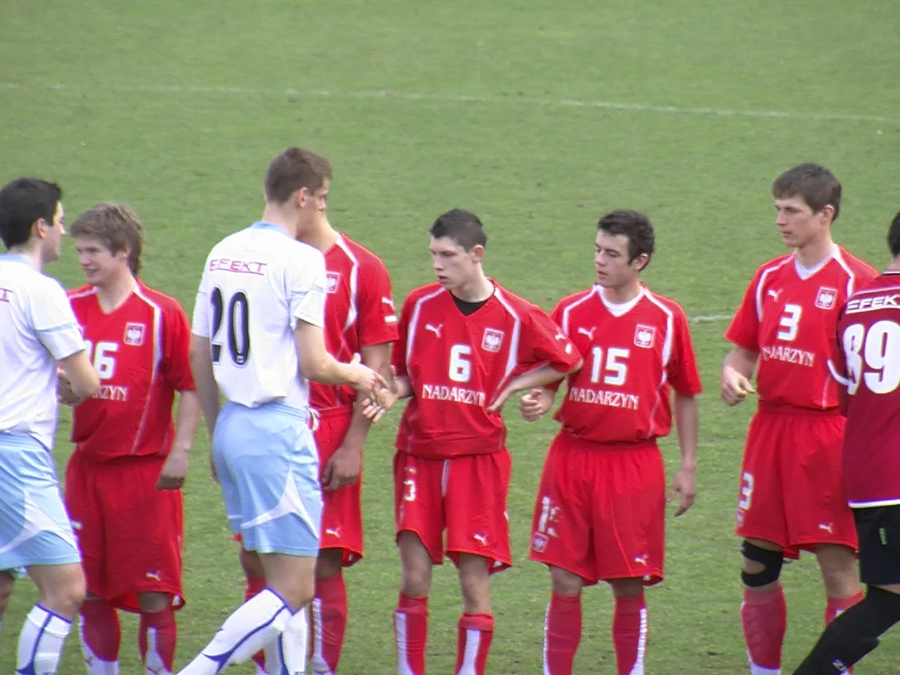 Zdjęcie 15