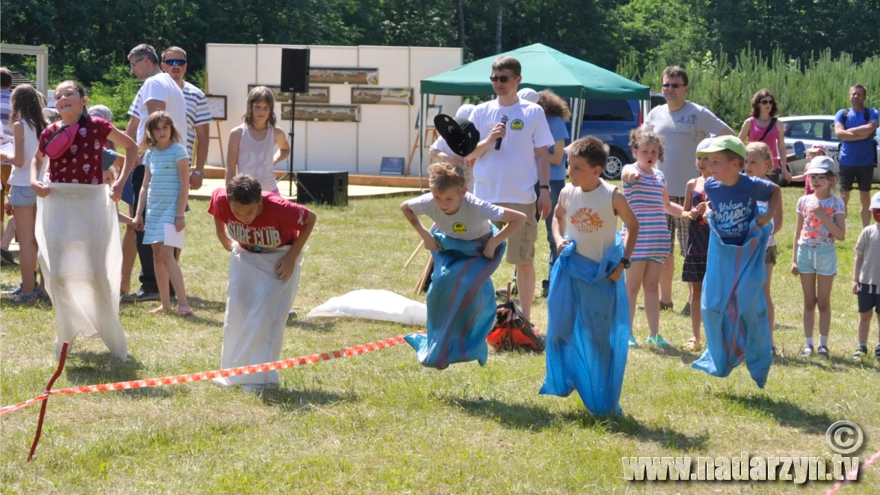 Zdjęcie 14