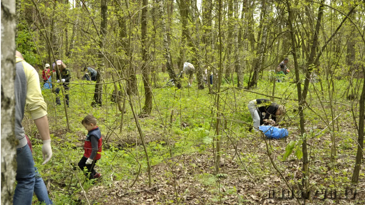 Sprzątanie w Kajetanach