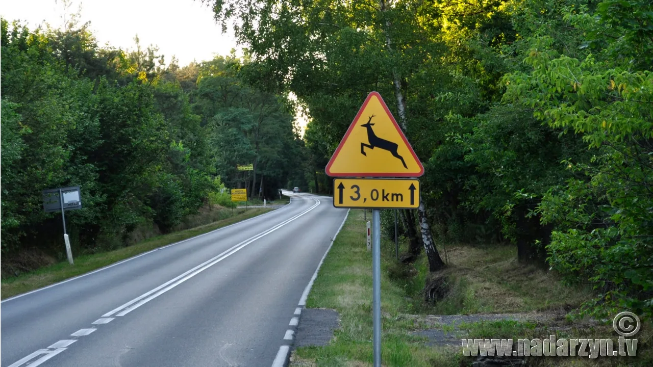 Paszkowianka wpuszczona w ul. Błońską