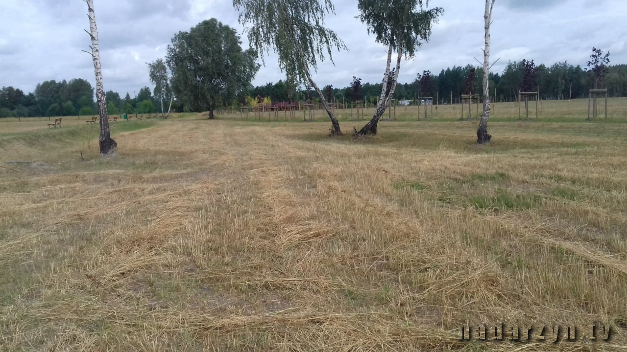 Sianokosy 2019?