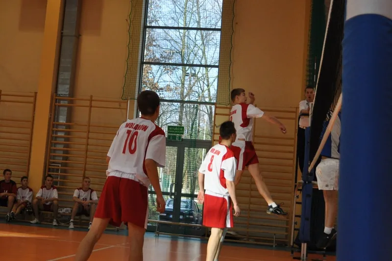 Zdjęcie 8