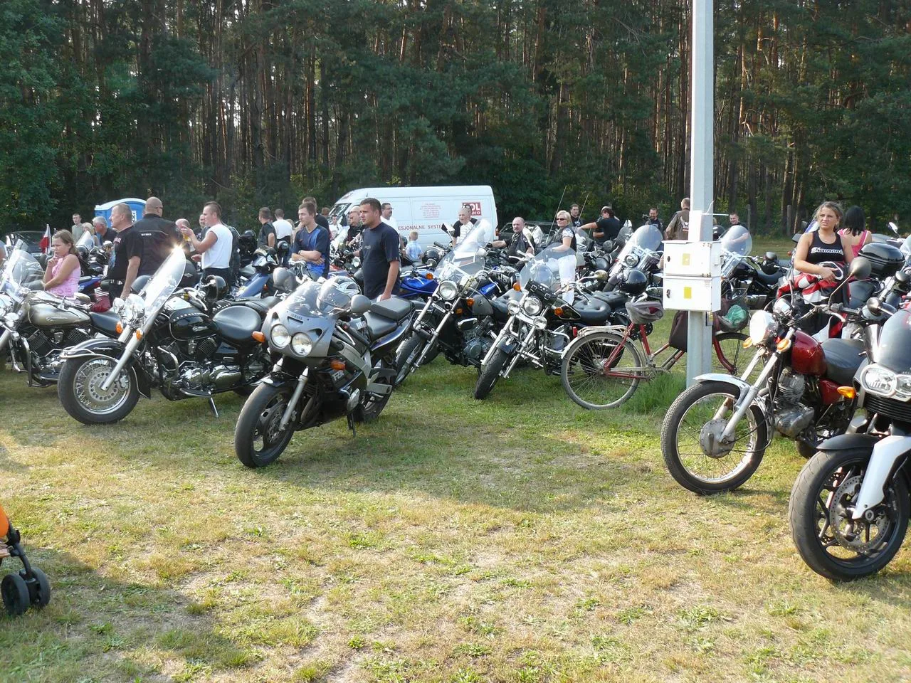 Zdjęcie 31