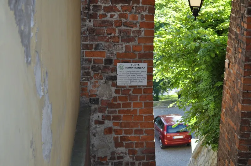 Zdjęcie 11