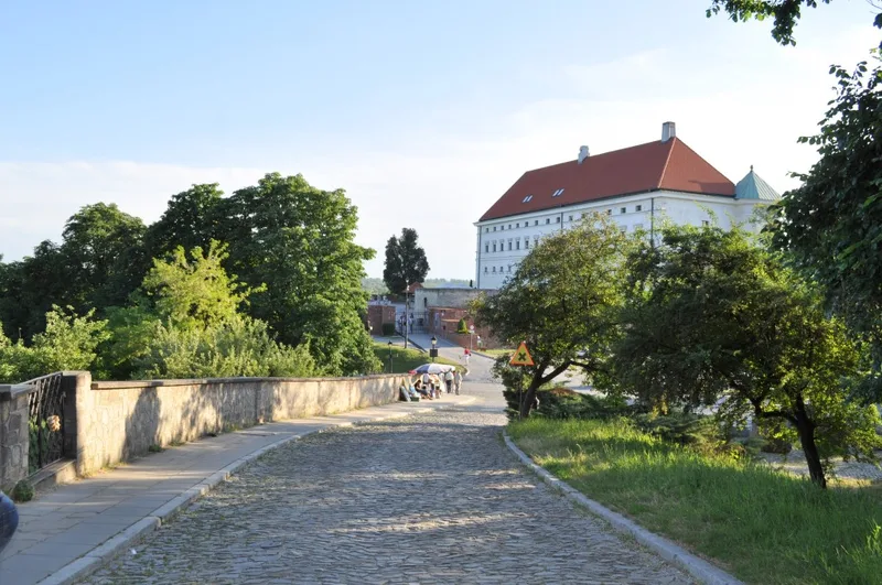 Zdjęcie 21