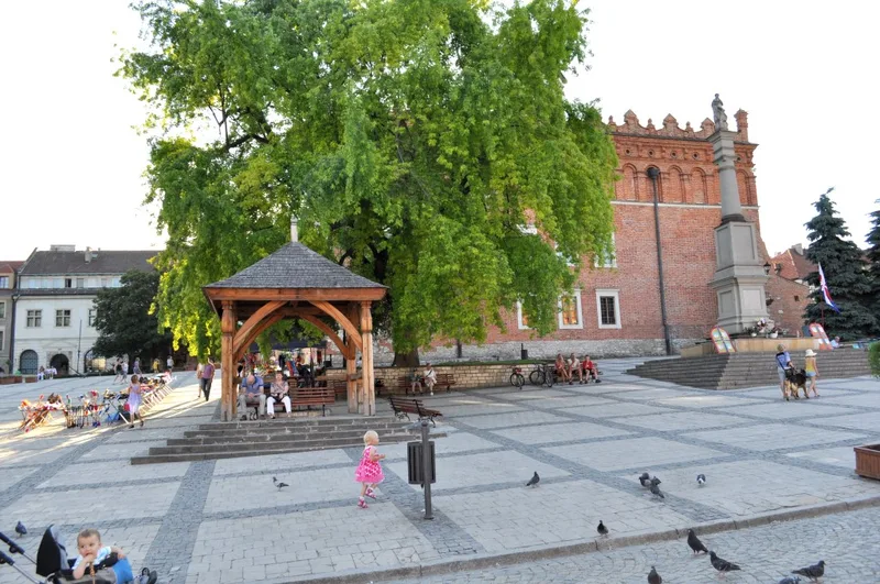 Zdjęcie 26