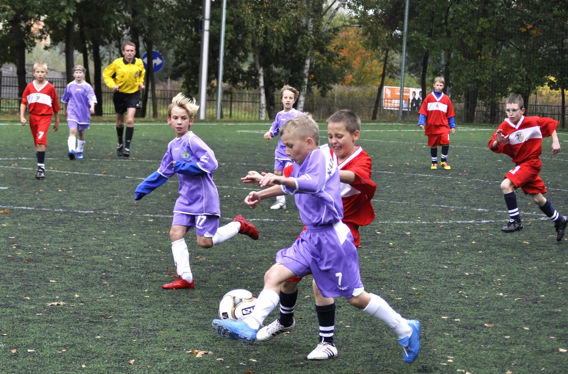 Zdjęcie 16