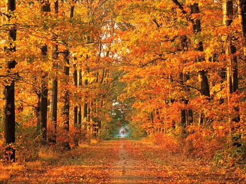 Prognoza pogody na tydzień 22-28.10.2011