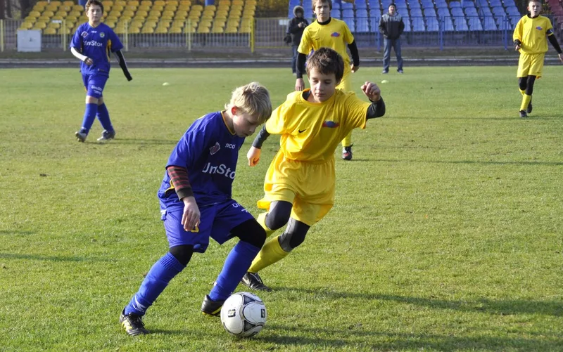 Zdjęcie 10