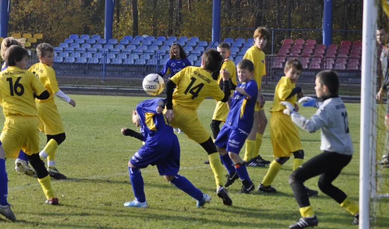Zdjęcie 12