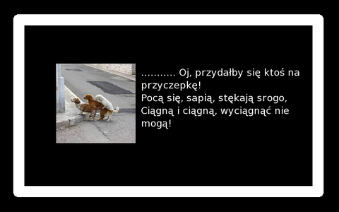 Prawie jak z wiersza Tuwima