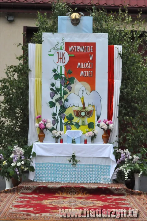 Zdjęcie 42