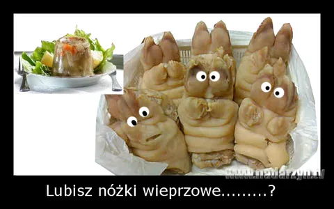 Lubisz nóżki wieprzowe.........?