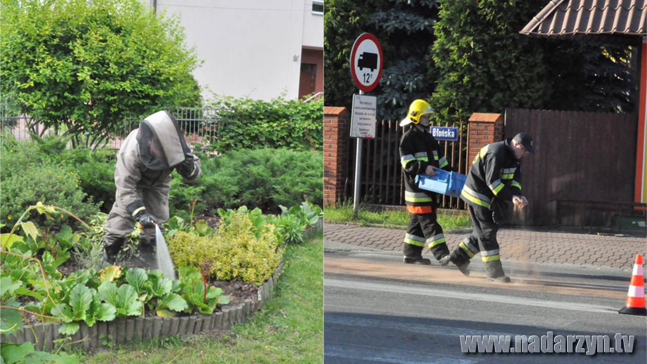 Straż pożarna, to nie tylko wezwania do pożarów i wypadków