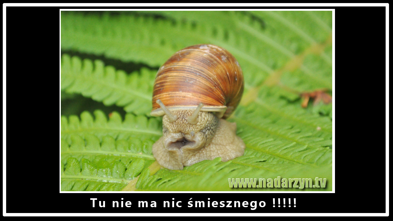 Tu nie ma nic śmiesznego!!!