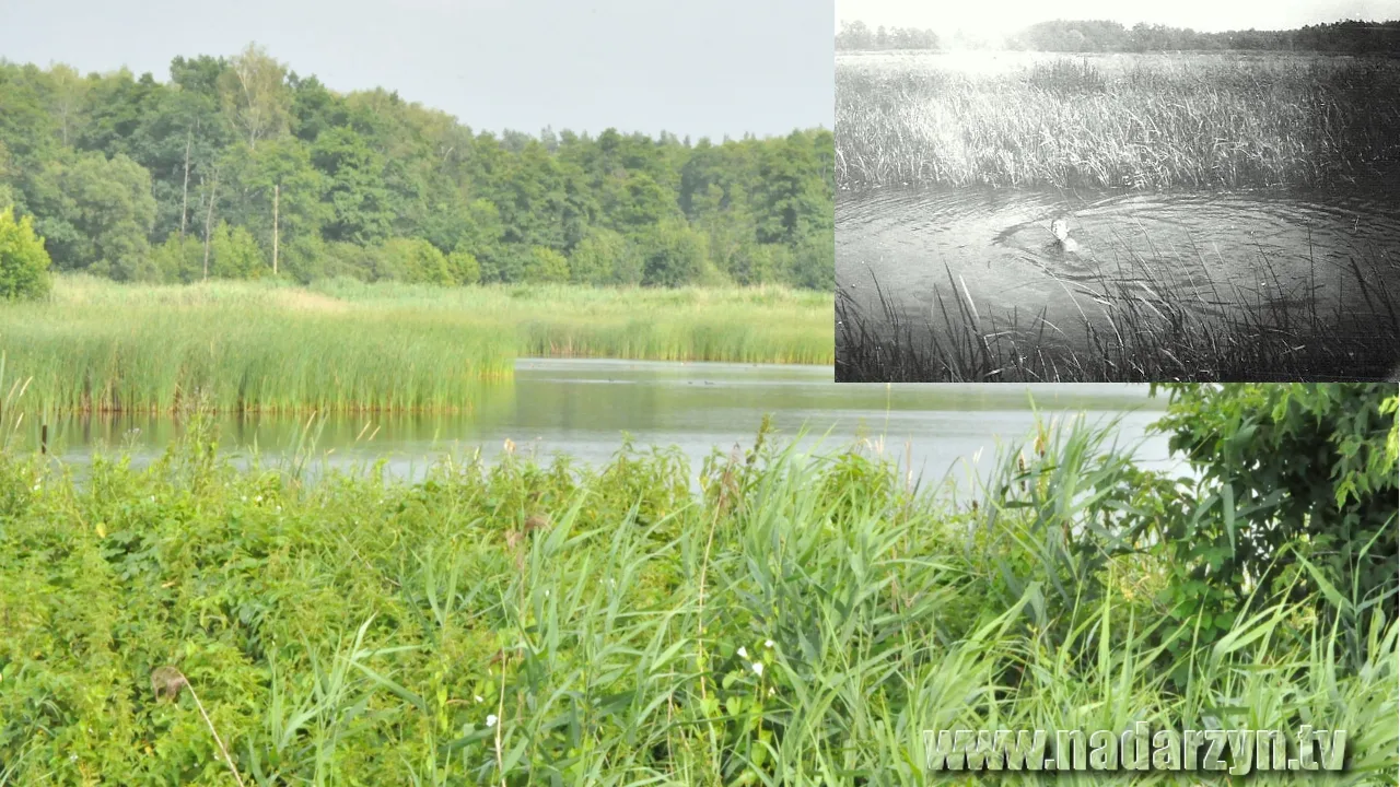 Gdy nie było jeszcze komórek – Grobla plażą Nadarzyna