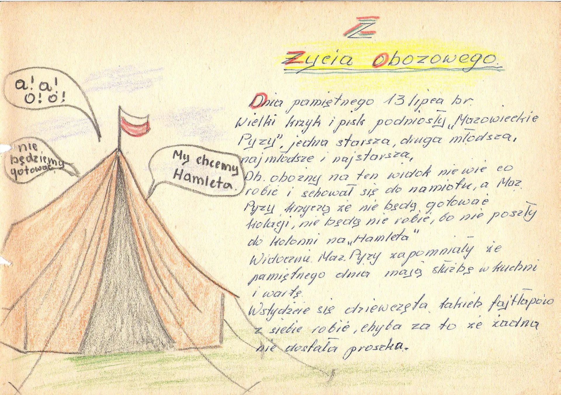 Zdjęcie 19
