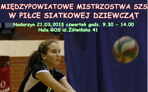 Międzypowiatowe Mistrzostwa SZS