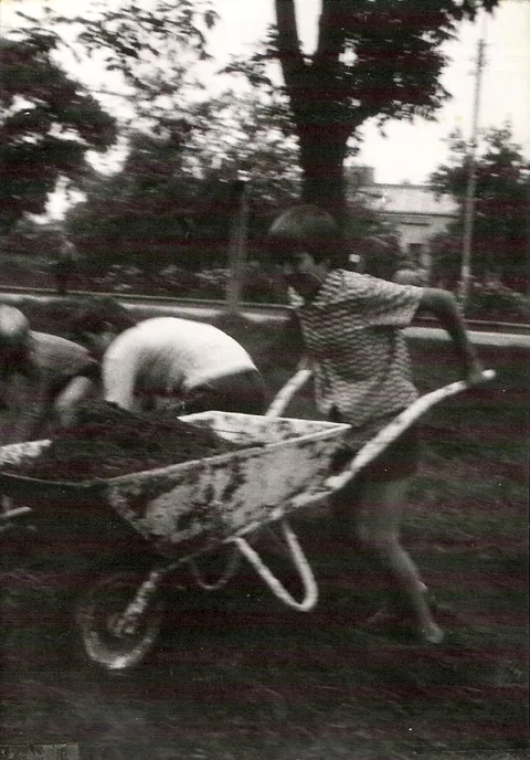 Zdjęcie 18