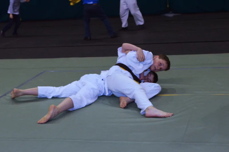 Pięć medali w Judo