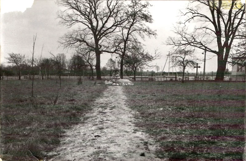 Zdjęcie 33