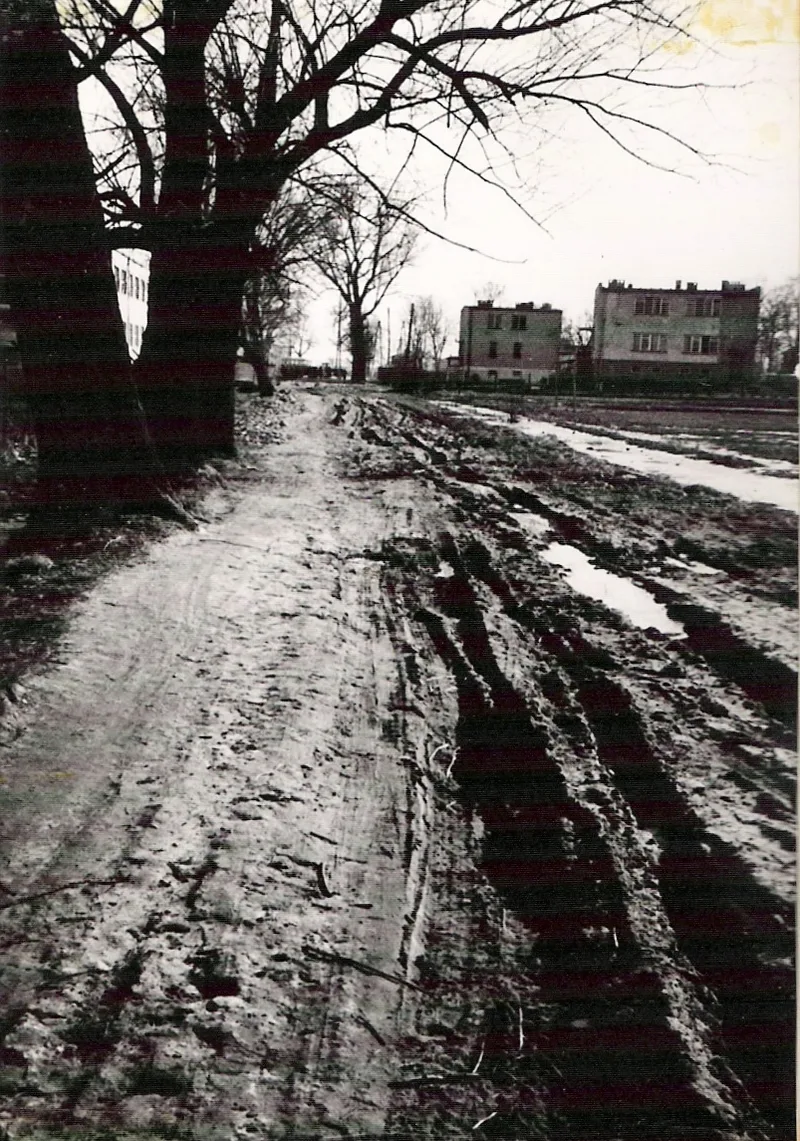Zdjęcie 39