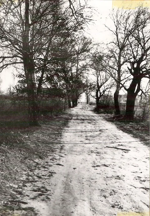 Zdjęcie 40