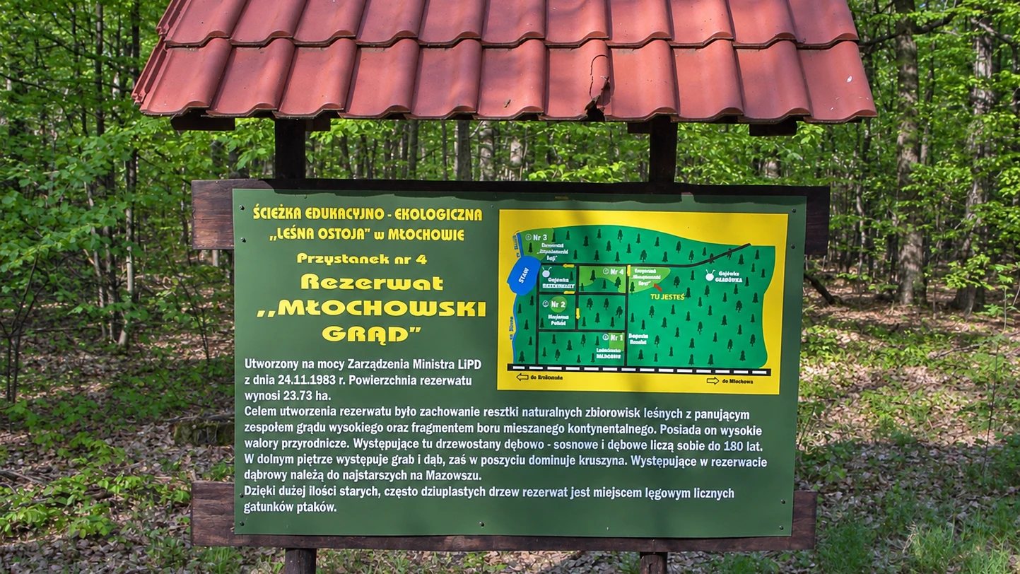 Jedna trzecia gminy pod ochroną. Odkrywamy zieloną stronę Nadarzyna