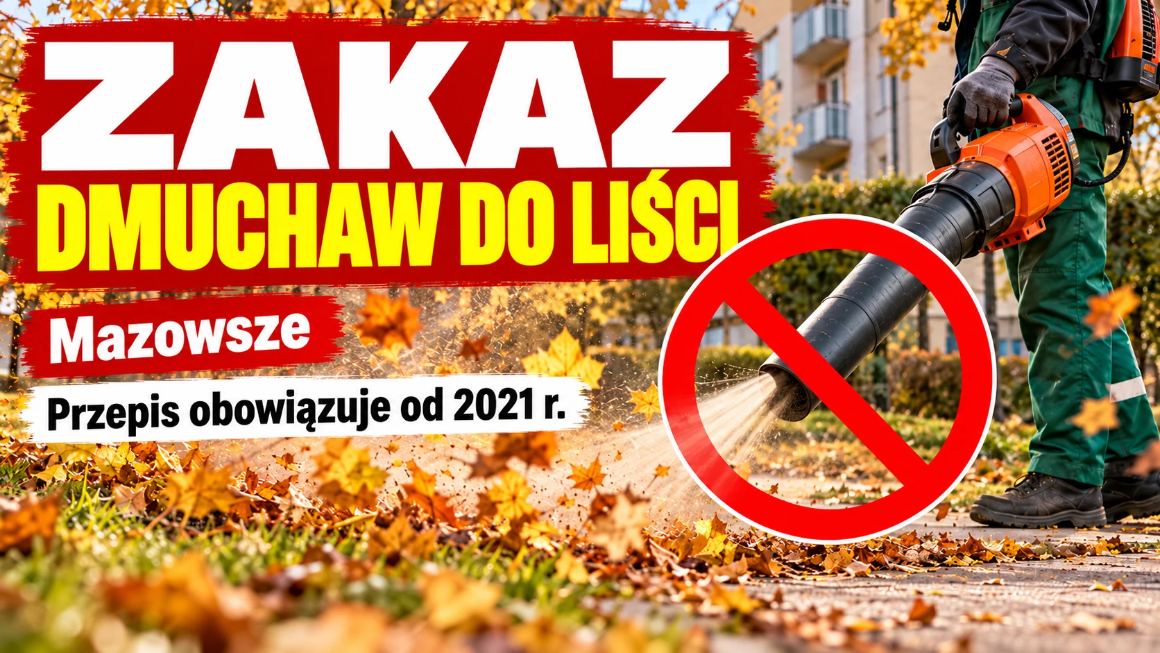Dmuchawy do liści zakazane od pięciu lat. Czy ludzie respektują ten przepis?