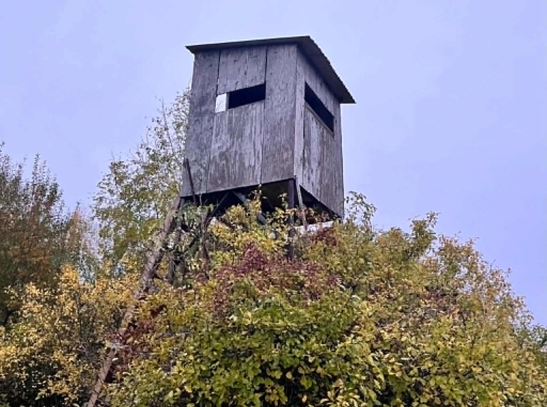 Ambona strzelnicza w Młochowie