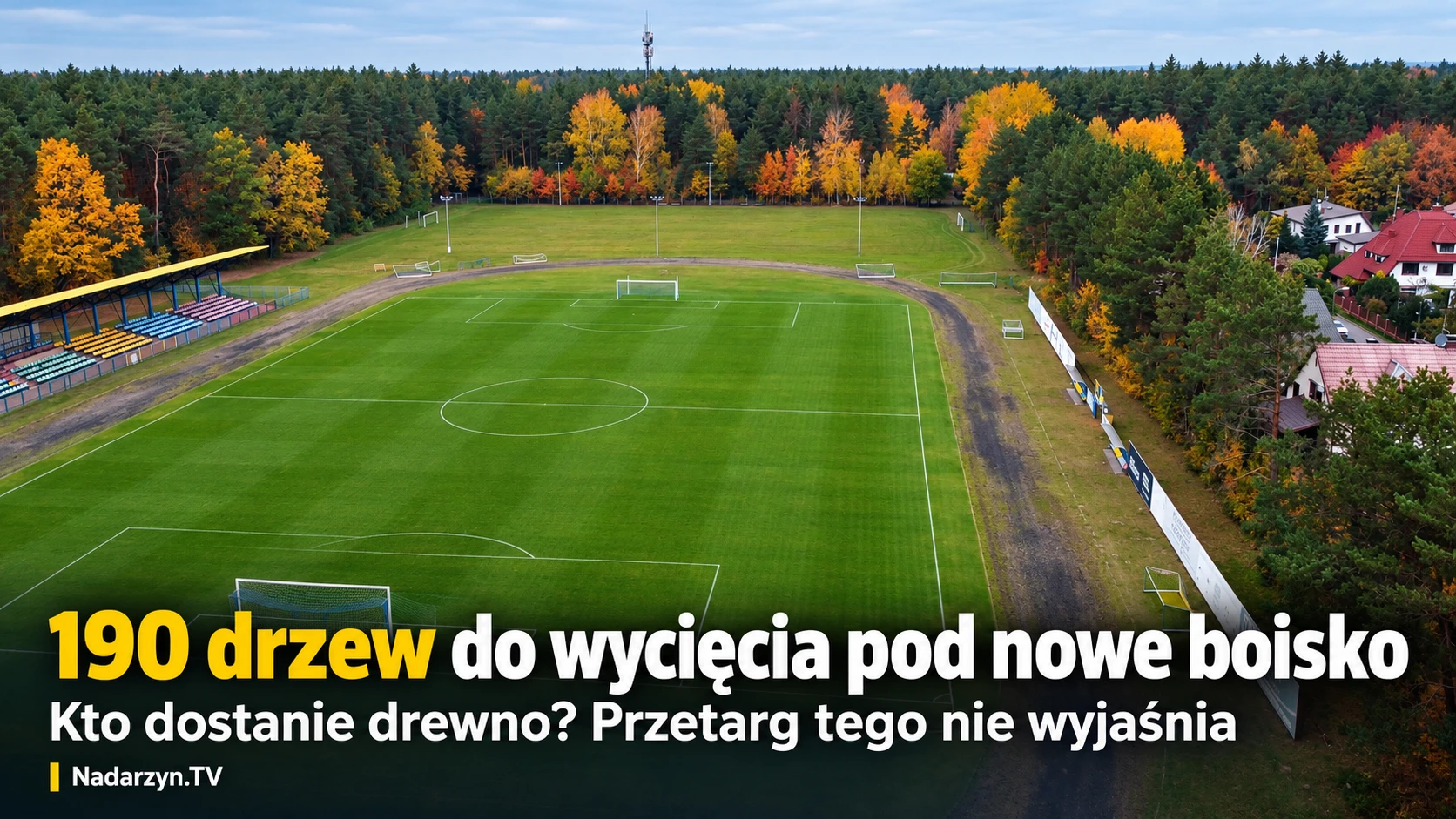 190 drzew do wycięcia pod nowe boisko. Kto dostanie drewno? Przetarg tego nie wyjaśnia